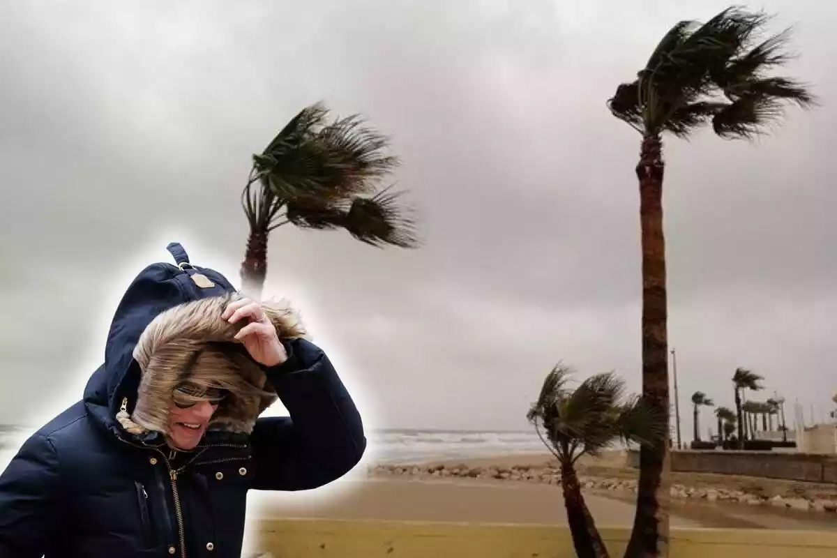 Fotomontaje de una mujer al frente tapada y sufriendo un temporal de viento, y al fondo unas palmeras en una playa afectadas por el viento