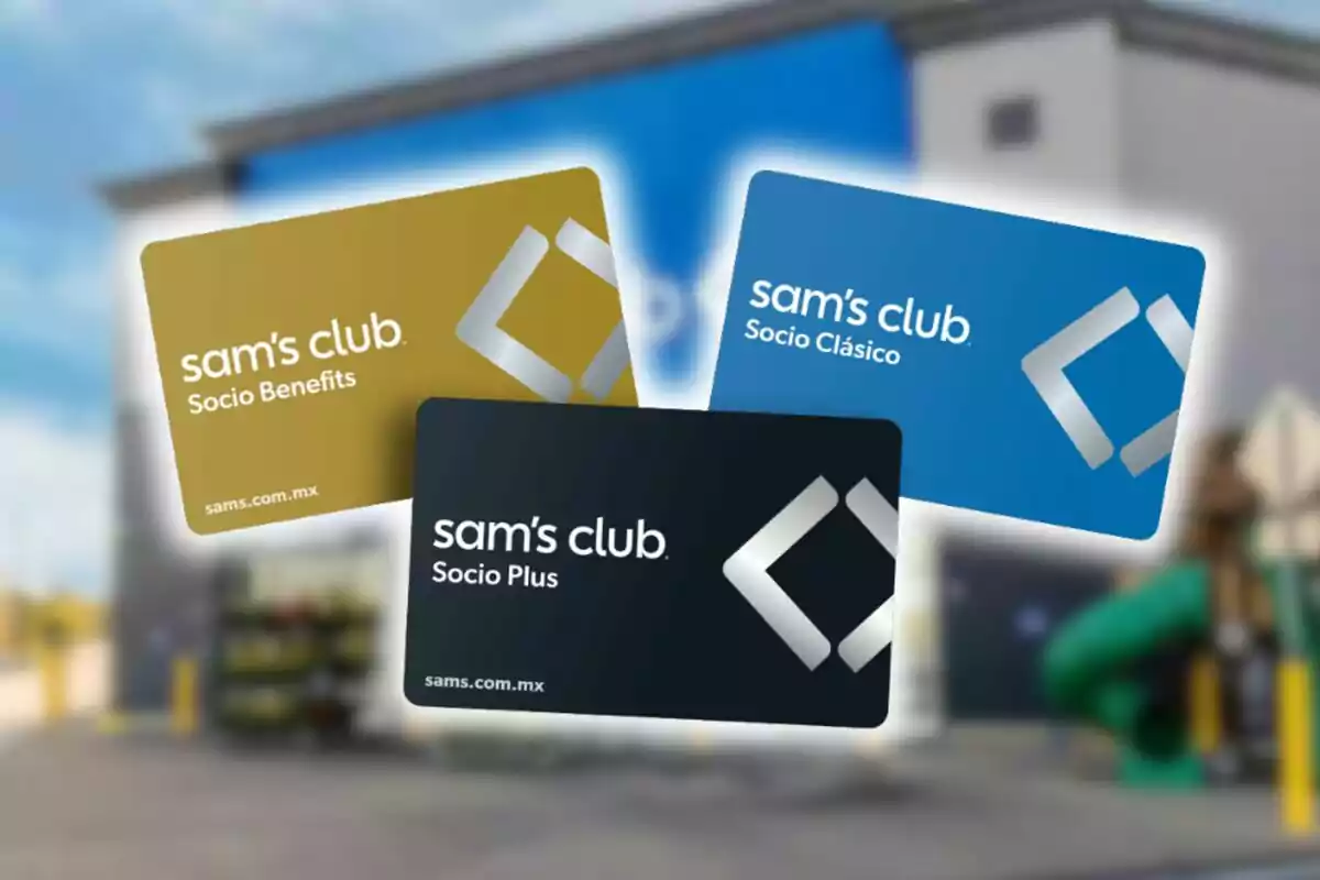 Three Sam's Club membership cards with different categories on a blurred store background.